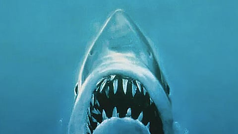 'Tubarão'. O filme que mudou Hollywood faz 50 anos 