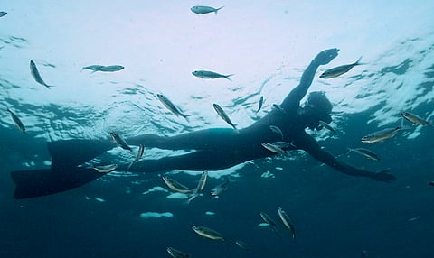 Projecto cinematográfico ou reportagem televisiva?