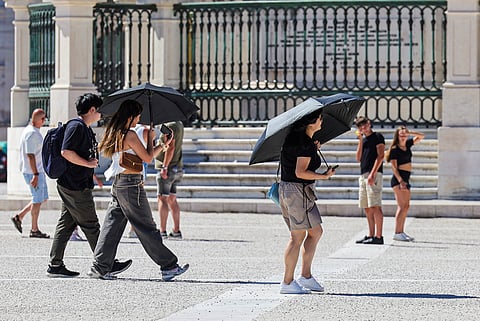Fenómeno das 'ilhas de calor' na cidade, onde a temperatura aumenta, ocorre, entre outros motivos, pela falta de árvores.