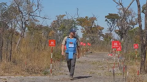 O Príncipe Harry num campo minado no sul de Angola