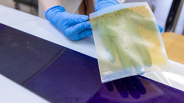 A folha do gel Agar Agar com sujidade agarrada.