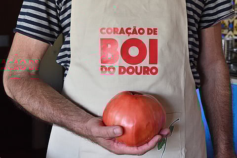 Tomate Coração de Boi é uma das espécies mais acarinhadas do Douro