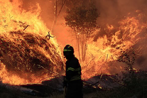 País enfrenta onda de incêndios em várias zonas.