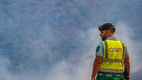 Todas as detenções foram em flagrante delito.