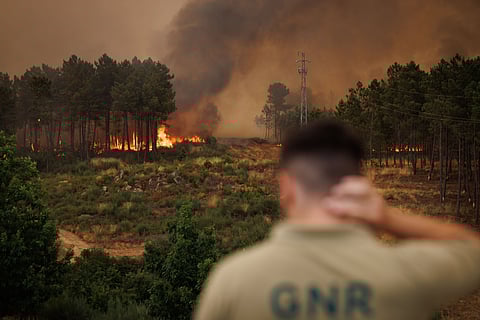 Concelho de Sabrosa foi um dos que teve mais fogos ativos.