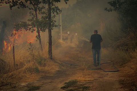 Incêndios. Autarca de Vila Real pede reforço de meios: "Estamos sob ataque enormíssimo"