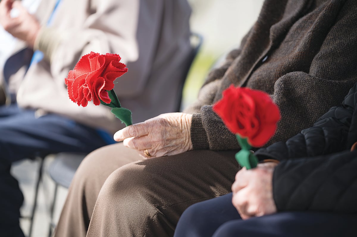 People work 9 more years than in 2018 to access retirement, half of pensioners earn less than 462 euros