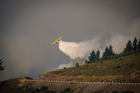 Canadair já estão na Base de Monte Real. Aviso laranja devido ao calor prolongado até quinta em oito distritos