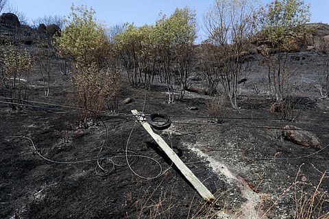 O incêndio de Trancoso já consumiu “em grosso modo”, 12 mil hectares no concelho, segundo disse o autarca, Amílcar Salvador.