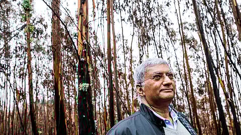 Domingos Xavier Viegas é investigador e especialista no estudo de incêndios florestais.