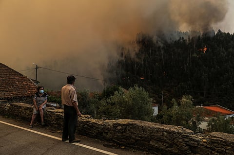 Quando comparado com o período homólogo, verifica-se que a área ardida este ano é cerca de 17 vezes superior aos 7.949 hectares de floresta que arderam entre 01 de janeiro e 15 de agosto de 2024.