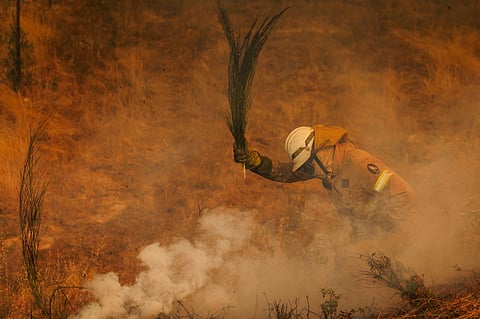 Bombeiros trabalham dia e noite para apagar os incêndios.