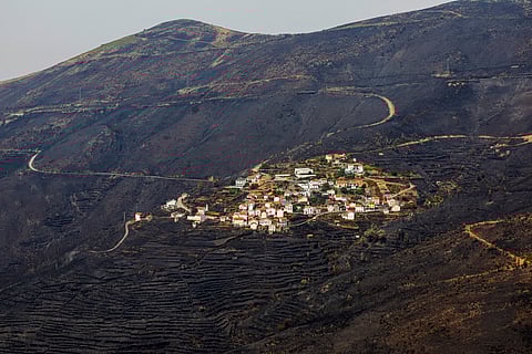 Incêndios de Arganil e Lousã. Um retrato do dia em que “parece que o Diabo andou por ali”