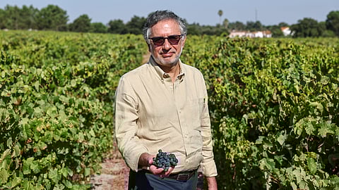 "O nosso desafio é de facto cada vez mais conseguir crescer em valor, o que é o sonho também de qualquer produtor, de qualquer região, de qualquer produto agroalimentar e outros", diz Henrique Soares.