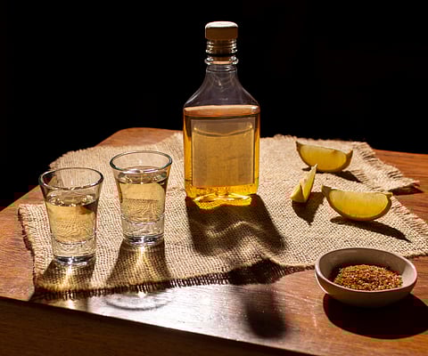 "Cachaça é história. Chegou ao Brasil junto com as primeiras mudas de cana-de-açúcar trazidas pelos portugueses".