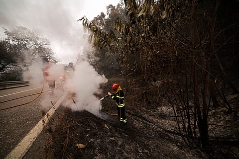 Área ardida aumenta a cada dia.
