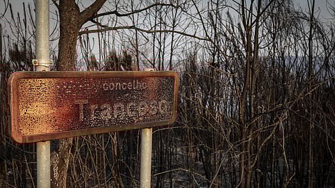 "O incêndio de Trancoso já ultrapassou 41.000 hectares e há risco de se tornar o maior incêndio de sempre."