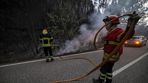 Bombeiros a tentar extinguir um foco de incêndio na Lousã, durante a tarde deste sábado, 16 de agosto.