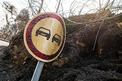 Segundo dados oficiais provisórios, até 29 de agosto arderam cerca de 252 mil hectares no país.