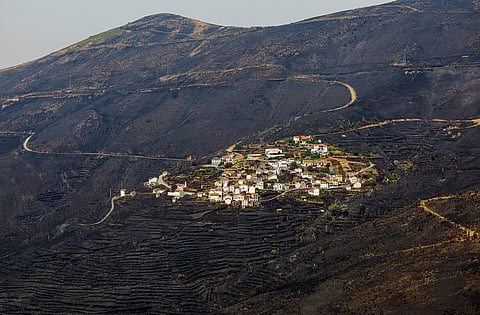 Reportagem sobre incêndios em Arganil e Lousã, em agosto de 2025