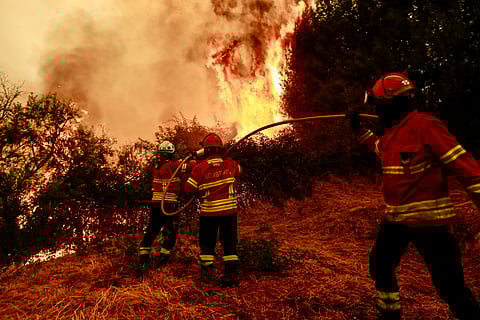 Bombeiros combatem as chamas no incêndio que começou no dia 13 de agosto, nas imediações da aldeia de Piódão, em Arganil.