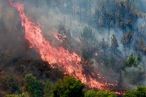 Marcelo: “Incêndios? Nem sempre quem está em situações de sufoco é capaz de responder e esclarecer”