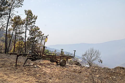 Incêndios. Apoios do Governo abrangem período de 26 de julho a 27 de agosto e 73 concelhos