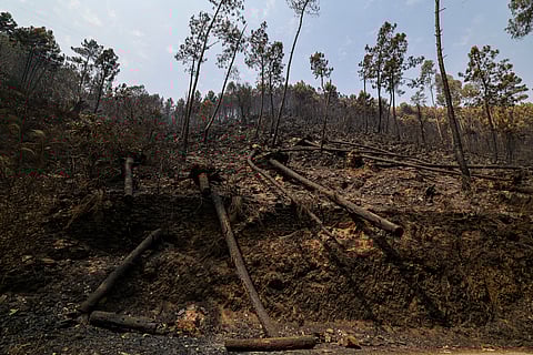Linha da Beira Baixa, A23 e EN18 interditadas desde as 18:00. Área ardida em Chaves já ronda os 5000 hectares
