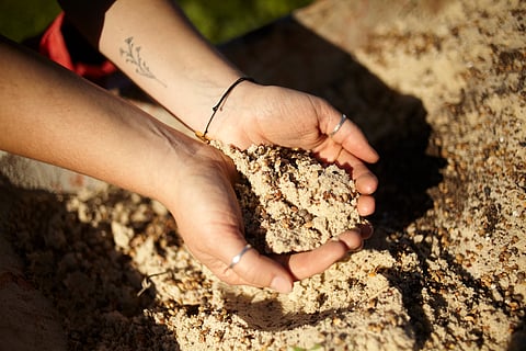 Na aldeia de Santiago do Cacém, os produtos agrícolas são produzidos na floresta, com base nos princípios da permacultura.
