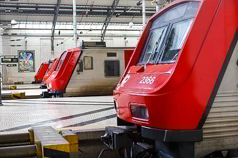 "Só voltei a andar de trem já adulta, em viagem pela Europa. Mas o transporte sempre me remete à cena da infância, à memória materna com um misto de aventura e curiosidade".
