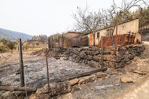 Empresas afetadas pelos incêndios podem ficar isentas até 1 ano de contribuições para Segurança Social