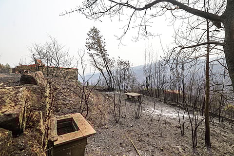 Diploma com apoios às populações e empresas afetadas pelos incêndios entra hoje em vigor