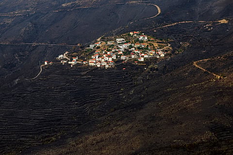 Residentes nas áreas afetadas pelos incêndios com prazos alargados para pagamento de impostos