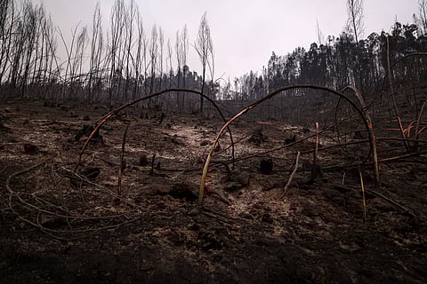 Incêndios. Turismo com “cancelamentos massivos” aguarda medidas de apoio