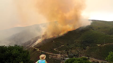 Incêndios tem se alastrado pelo país.