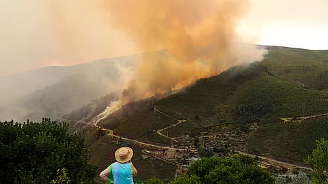 Incêndios tem se alastrado pelo país.