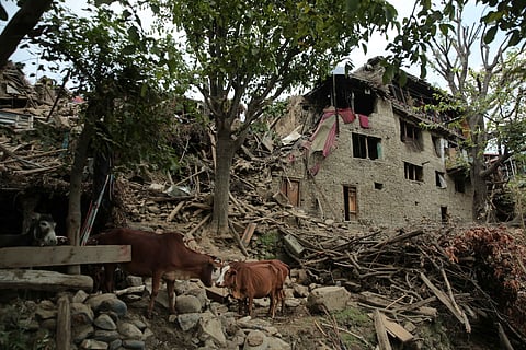 Equipas de resgate tentam chegar a zonas remotas. Sismo no Afeganistão terá feito mais de mil mortos