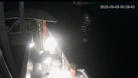 Portugueses da flotilha estão bem de saúde, mas embaixadora fez protesto. PM admite atraso na deportação