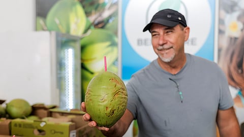 Cocos vieram diretamente de Pernambuco.