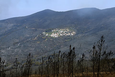 JOSÉ CARLOS CARVALHO/ Arquivo DN