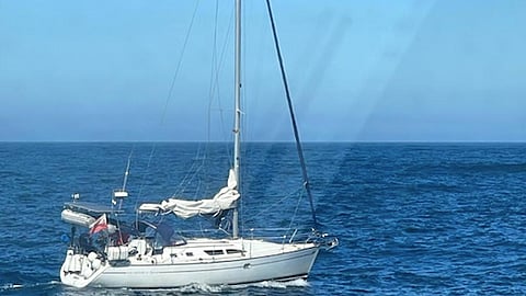 Mais um incidente com orcas ao largo da Costa da Caparica. GNR garantiu segurança de veleiro