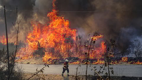 Mais de 500 operacionais combatem fogo no concelho de Lagos