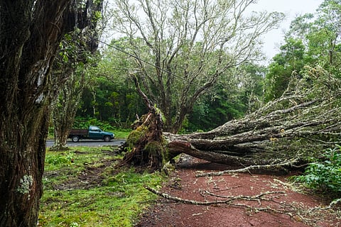 Vento forte e agitação marítima. Proteção Civil emite alerta para o continente por causa do ciclone Gabrielle