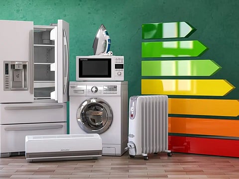 Programa E-Lar recebeu mais de seis mil candidaturas no primeiro dia