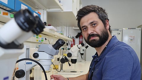 Investigador Carlos Conde, do i3S