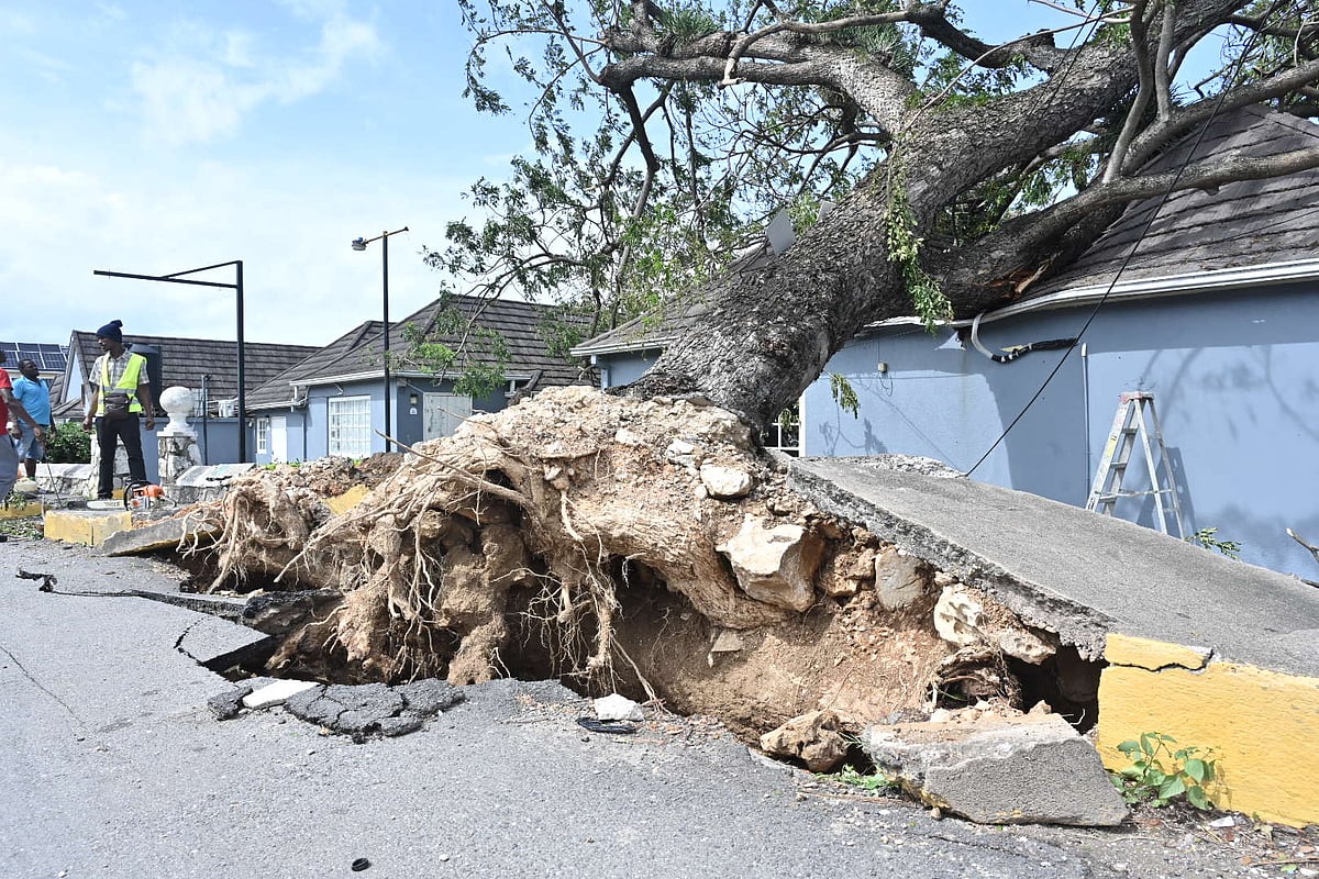 Costs of natural disasters fall in 2025 but remain alarming