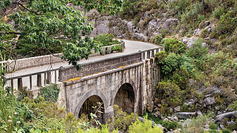 Lidl reforça compromisso com a sustentabilidade ao apoiar a iniciativa Re-Store Portugal da WWF
