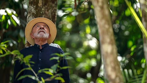 O presidente brasileiro, Lula da Silva, numa plantação de açaí. Um alimento típico de Belém que conquistou o mundo.