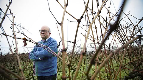 Francisco Ferreira: “Portugal está entre os países mais vulneráveis da Europa às alterações climáticas" 