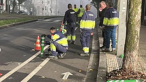 Câmara de Gaia terá de suspender retirada da ciclovia da Av. da República
